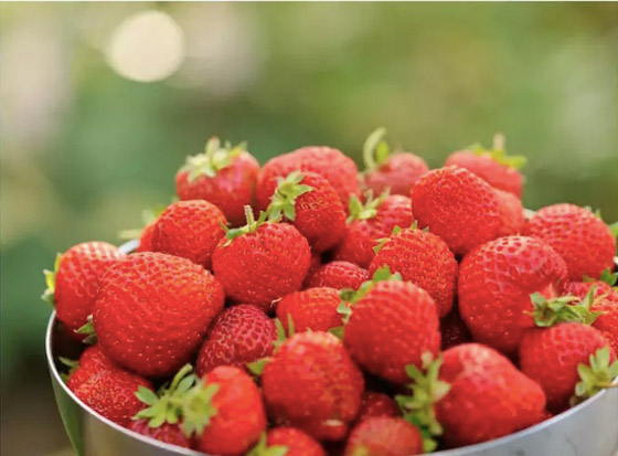 5 أطعمة للوقاية من أمراض الكلى صورة رقم 4