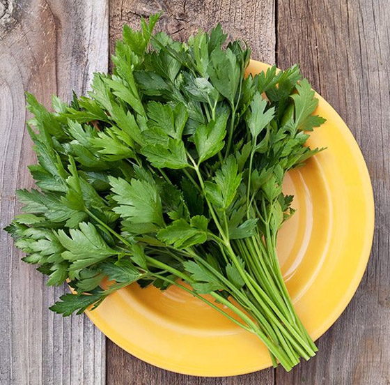 إليكم أفضل 8 أعشاب وتوابل لخسارة الوزن في عيد الأضحى صورة رقم 2 إليكم أفضل 8 أعشاب وتوابل لخسارة الوزن في عيد الأضحى صورة رقم 2