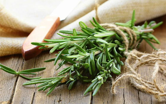 إليكم أفضل 8 أعشاب وتوابل لخسارة الوزن في عيد الأضحى صورة رقم 4 إليكم أفضل 8 أعشاب وتوابل لخسارة الوزن في عيد الأضحى صورة رقم 4