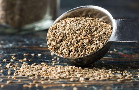 تقوي العظام وتحارب السكري وفقر الدم.. فوائد بذور الكرفس وطرق استخدامها صورة رقم 2 تقوي العظام وتحارب السكري وفقر الدم.. فوائد بذور الكرفس وطرق استخدامها صورة رقم 2