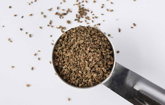 تقوي العظام وتحارب السكري وفقر الدم.. فوائد بذور الكرفس وطرق استخدامها صورة رقم 3 تقوي العظام وتحارب السكري وفقر الدم.. فوائد بذور الكرفس وطرق استخدامها صورة رقم 3