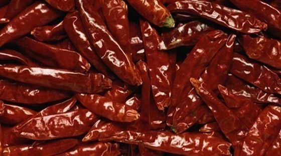 هكذا يخدع الطعام الحار خلايا الدماغ صورة رقم 3