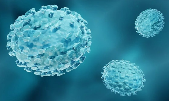 وسط تزايد إصابات جدري القرود.. قرار مرتقب للصحة العالمية صورة رقم 4 وسط تزايد إصابات جدري القرود.. قرار مرتقب للصحة العالمية صورة رقم 4