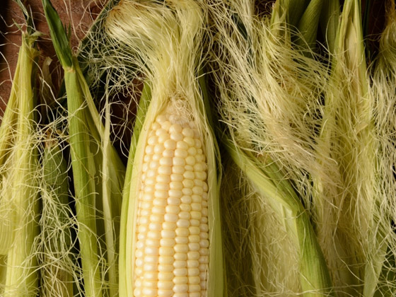 «شعر الذرة».. ماذا تعرف عن فوائده وطرق تناوله؟ صورة رقم 2