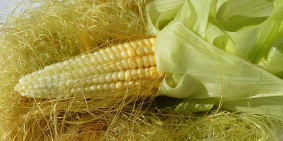 «شعر الذرة».. ماذا تعرف عن فوائده وطرق تناوله؟ صورة رقم 6