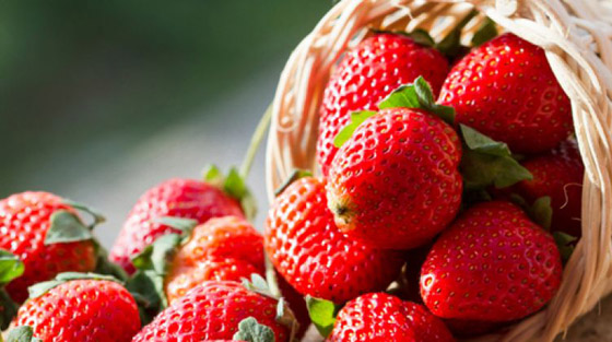 الفراولة قد تمنع الزهايمر ! صورة رقم 1