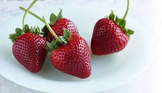 الفراولة قد تمنع الزهايمر ! صورة رقم 9