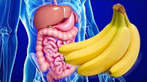 النشويات المقاومة تحمي من سرطانات الجهاز الهضمي صورة رقم 2