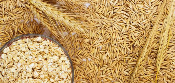 النشويات المقاومة تحمي من سرطانات الجهاز الهضمي صورة رقم 5