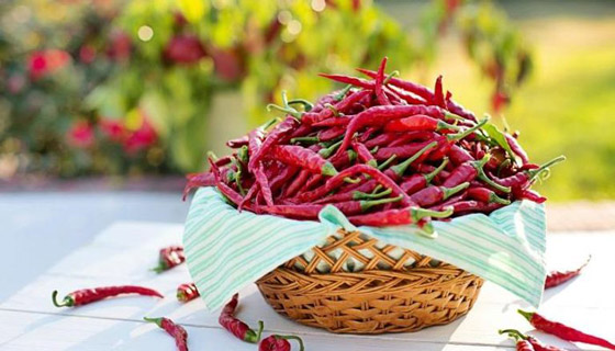 فوائد الفلفل الحار للصحة والشعر.. وأضرار الإفراط في تناوله صورة رقم 9