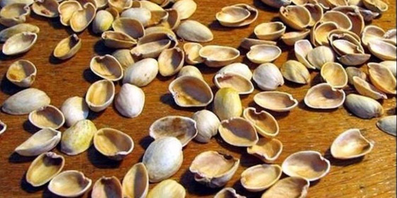 بقايا هذه الأطعمة أسمدة غنية لحديقتك.. لا ترميها في القمامة صورة رقم 4