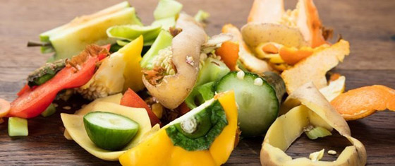 بقايا هذه الأطعمة أسمدة غنية لحديقتك.. لا ترميها في القمامة صورة رقم 5