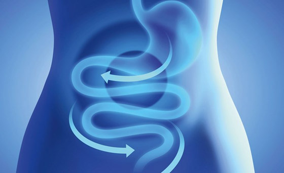 فاكهة القشطة:  فوائد للصحة والمناعة صورة رقم 7