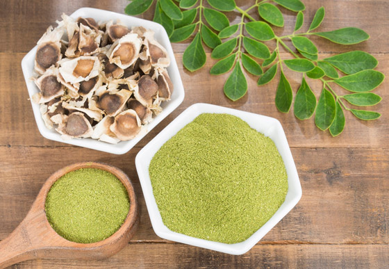 صرعة الأغذية الخارقة.. 10 فوائد تدهشك تجعلك تدمن نبتة المورينغا صورة رقم 1 صرعة الأغذية الخارقة.. 10 فوائد تدهشك تجعلك تدمن نبتة المورينغا صورة رقم 1