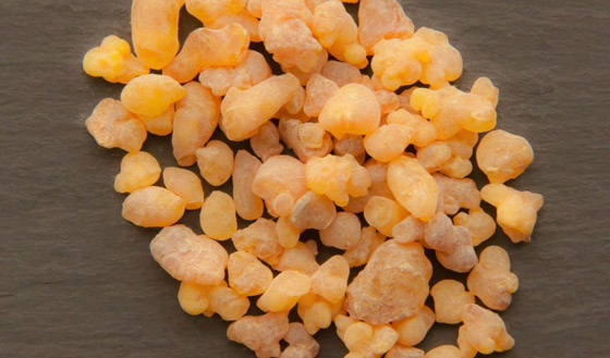 الصمغ العربي: مادة نادرة بفوائد عظيمة صورة رقم 5