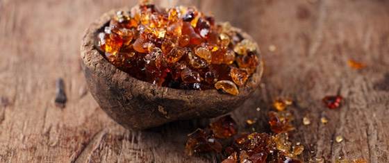 الصمغ العربي: مادة نادرة بفوائد عظيمة صورة رقم 8