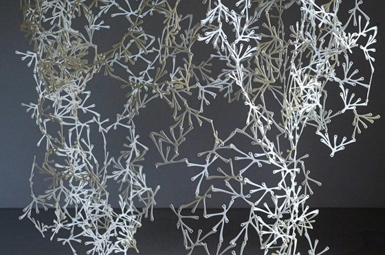 جدار عضوي برائحة الكراميل صورة رقم 2