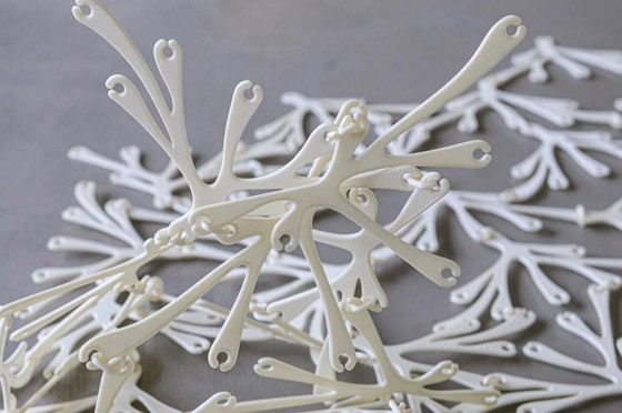 جدار عضوي برائحة الكراميل صورة رقم 4