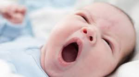 لماذا التثاؤب معد.. هل تساءلت يوماً؟ صورة رقم 3