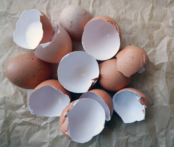 لا ترمي قشر البيض.. فوائد خفية لن تصدقها! صورة رقم 2 لا ترمي قشر البيض.. فوائد خفية لن تصدقها! صورة رقم 2