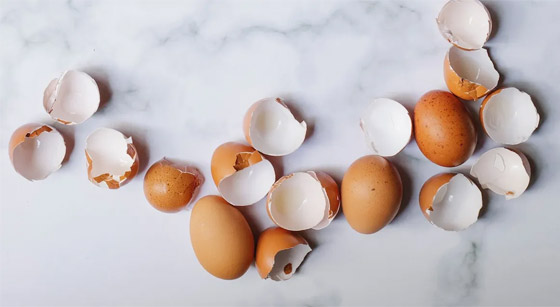 لا ترمي قشر البيض.. فوائد خفية لن تصدقها! صورة رقم 4 لا ترمي قشر البيض.. فوائد خفية لن تصدقها! صورة رقم 4