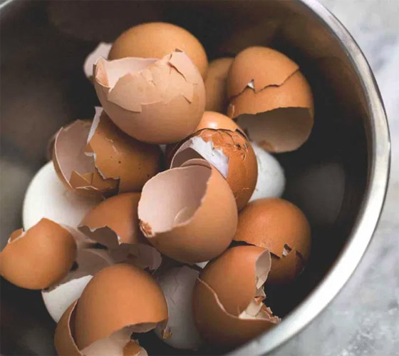 لا ترمي قشر البيض.. فوائد خفية لن تصدقها! صورة رقم 5 لا ترمي قشر البيض.. فوائد خفية لن تصدقها! صورة رقم 5