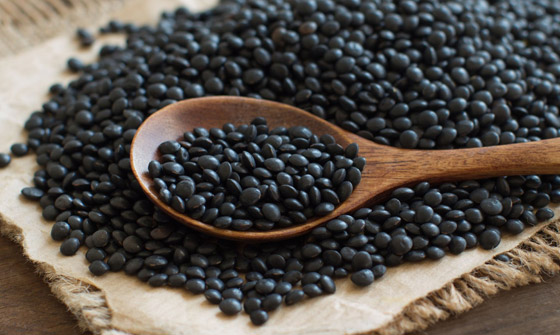 وصفة سحرية لصحة الدماغ.. 8 أغذية وأطعمة لا غنى عنها صورة رقم 2 وصفة سحرية لصحة الدماغ.. 8 أغذية وأطعمة لا غنى عنها صورة رقم 2