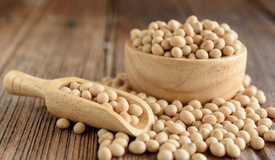 وصفة سحرية لصحة الدماغ.. 8 أغذية وأطعمة لا غنى عنها صورة رقم 5 وصفة سحرية لصحة الدماغ.. 8 أغذية وأطعمة لا غنى عنها صورة رقم 5