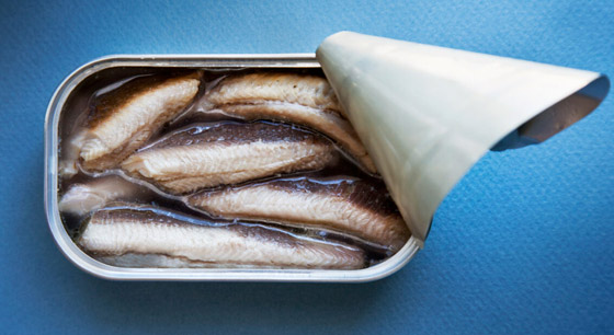 وصفة سحرية لصحة الدماغ.. 8 أغذية وأطعمة لا غنى عنها صورة رقم 8 وصفة سحرية لصحة الدماغ.. 8 أغذية وأطعمة لا غنى عنها صورة رقم 8