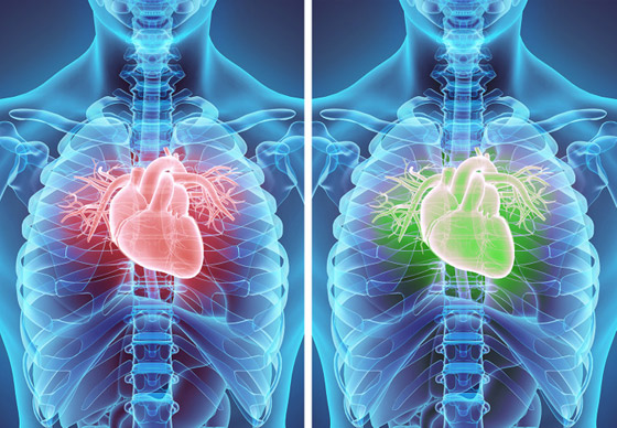 ماذا يحدث إذا امتنعت عن تناول الخبز في حياتك اليومية؟ صورة رقم 6