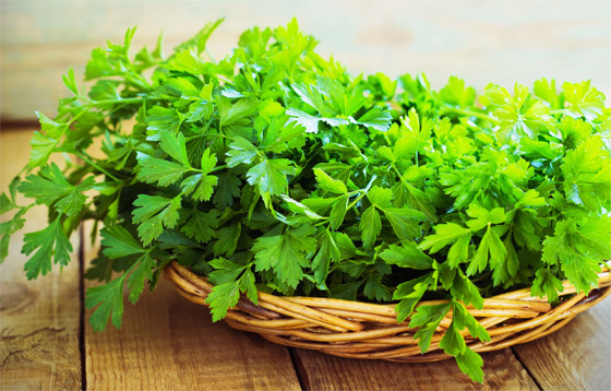 إليكم 4 أعشاب تساعد على خفض ضغط الدم صورة رقم 3 إليكم 4 أعشاب تساعد على خفض ضغط الدم صورة رقم 3