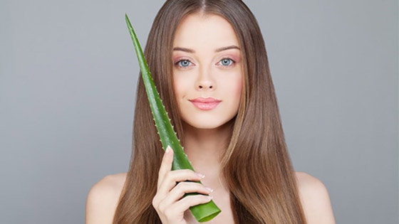 الصبار.. علاج فعال لنمو شعركِ صورة رقم 2