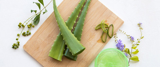 الصبار.. علاج فعال لنمو شعركِ صورة رقم 4