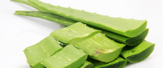 الصبار.. علاج فعال لنمو شعركِ صورة رقم 5