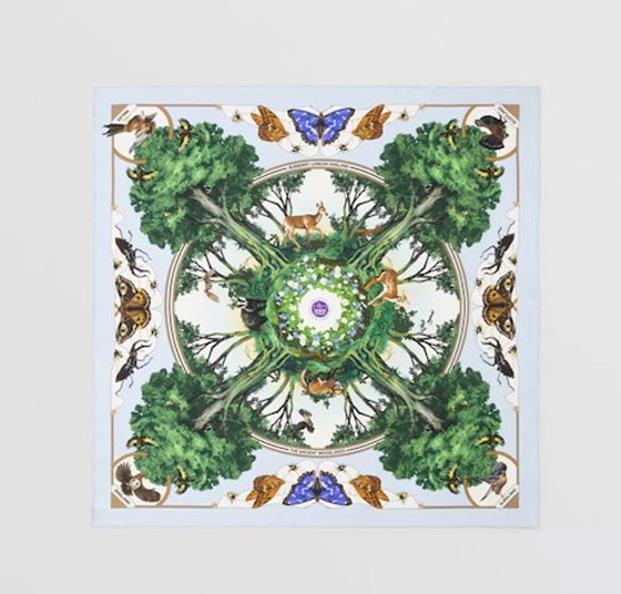 اليك سيدتي : أجمل الأوشحة الخضراء من أشهر دور الأزياء صورة رقم 1 اليك سيدتي : أجمل الأوشحة الخضراء من أشهر دور الأزياء صورة رقم 1