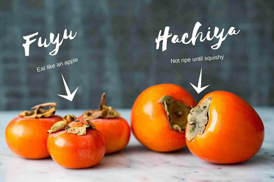 تعرف على أسرار الكاكا.. 