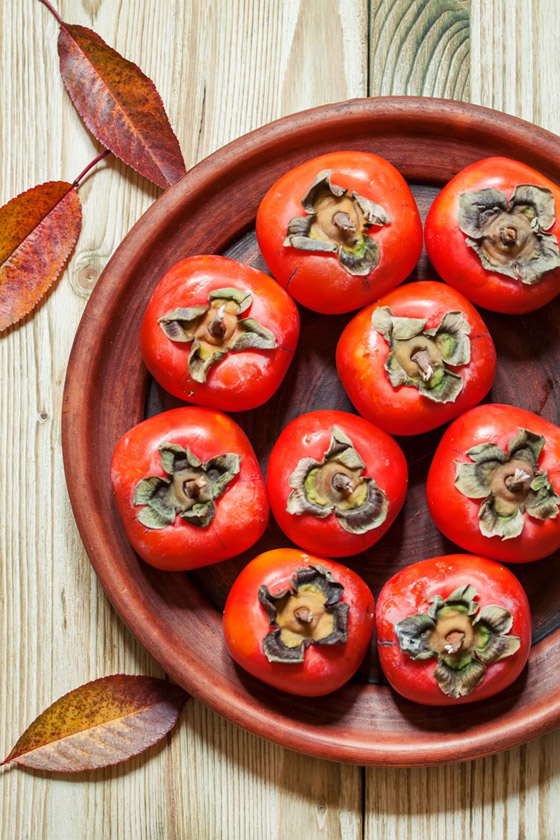 تعرف على أسرار الكاكا.. 