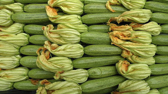 أمور وفوائد عليك أن تعرفها عن الكوسا صورة رقم 1