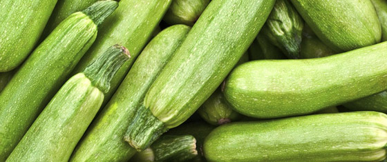 أمور وفوائد عليك أن تعرفها عن الكوسا صورة رقم 2