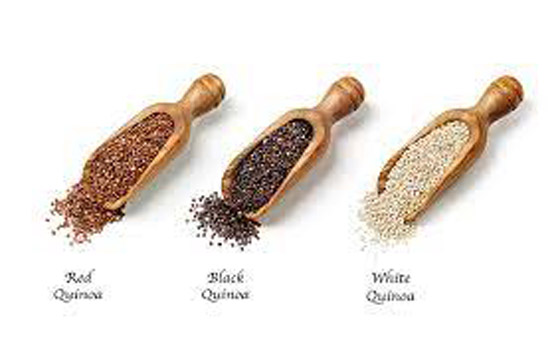 هذه أفضل 4 مصادر بروتين.. أبرزها نوع شهير من المكسرات صورة رقم 5