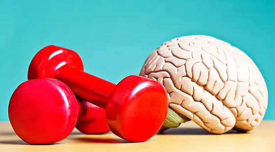 إن لم تستخدمه ستخسره.. طرق للحفاظ على صحة الدماغ! صورة رقم 1