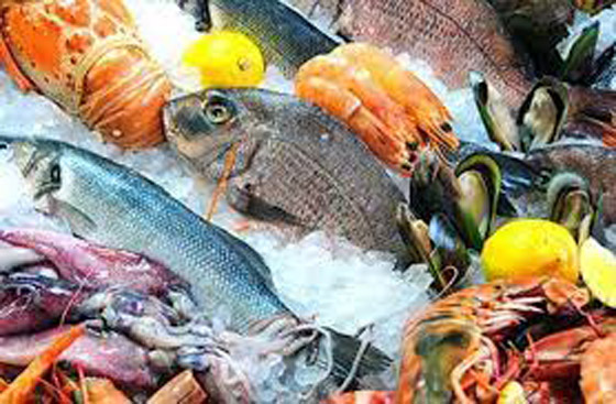 خبير تغذية روسي: تناول الأسماك لتقضي على الإجهاد صورة رقم 5