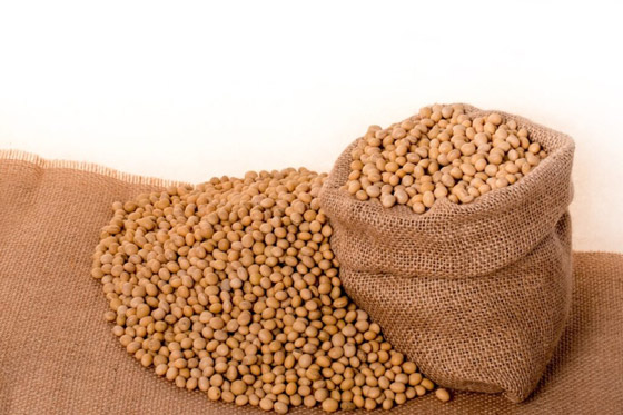 ثلاث نصائح للنباتيين للحصول على ما يكفي من البروتين صورة رقم 5