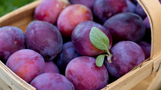 فوائد الخوخ لا يُستهان بها.. ماذا تقدم لأجسامنا؟ صورة رقم 2