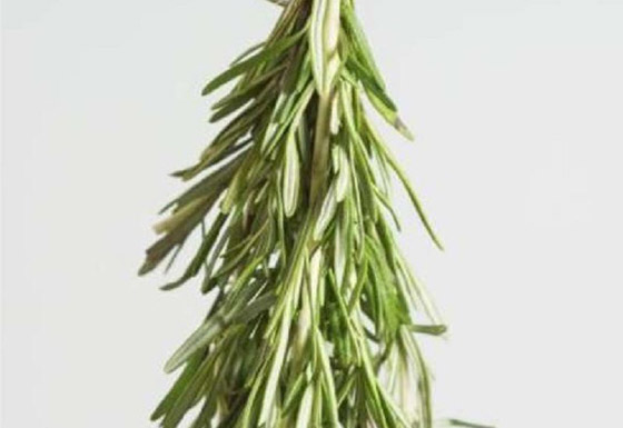 ماذا يحدث لشعرك إذا غسلته بماء الروزماري؟ صورة رقم 1