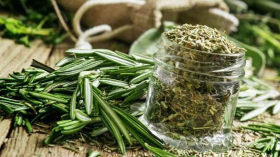 ماذا يحدث لشعرك إذا غسلته بماء الروزماري؟ صورة رقم 4