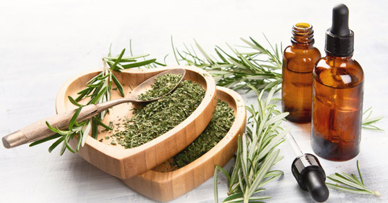 ماذا يحدث لشعرك إذا غسلته بماء الروزماري؟ صورة رقم 5