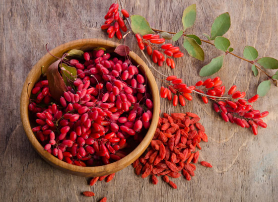 يحارب الخلايا السرطانية وفقر الدم.. فوائد توت الغوجي الصحية مذهلة صورة رقم 7