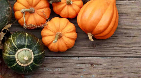 اليقطين.. كنز من المعادن والفيتامينات صورة رقم 7