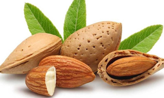 اللوز يحسن امتصاص الأمعاء للمغذيات صورة رقم 6